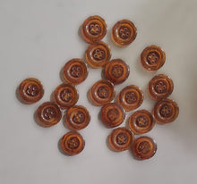 Load image into Gallery viewer, Turtle shell Button