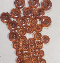 Load image into Gallery viewer, Turtle shell Button