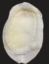 Load image into Gallery viewer, Raglan Shoulder Pad
