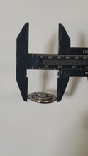 Load image into Gallery viewer, Crest 3D Silver Button
