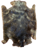 Load image into Gallery viewer, Beaver Fur Skin
