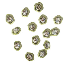 Load image into Gallery viewer, Abalone Button w/stone
