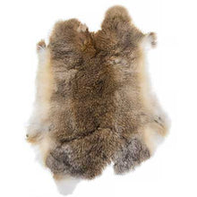Load image into Gallery viewer, Rabbit Fur Skin - Low Grade (apx 11x15")
