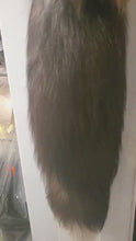 Load and play video in Gallery viewer, Fox Skin - Silver Furs
